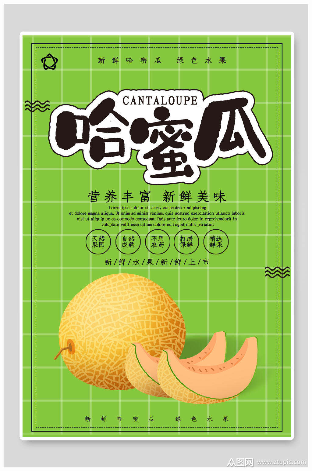哈密瓜水果海报素材