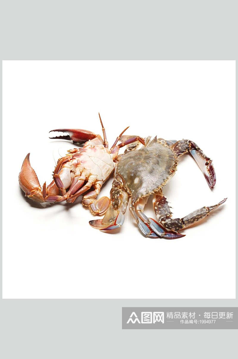 蟹类海鲜盛宴图片素材