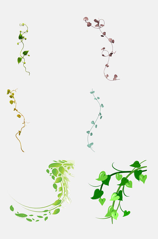 简约藤条花藤青藤春季免抠元素