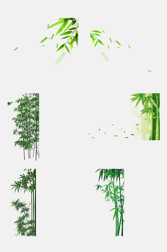 竹子竹叶飘落免抠元素