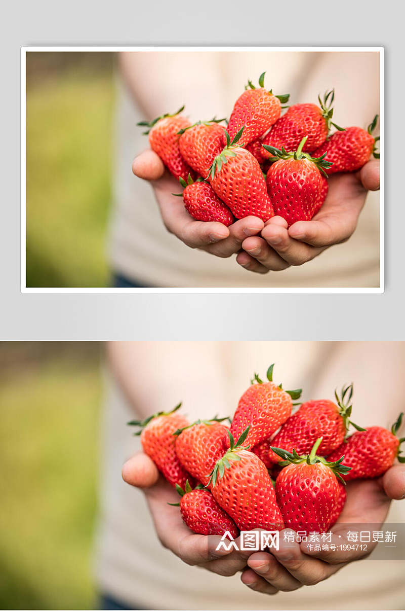 手捧水果草莓摄影图片素材