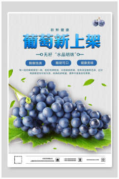 葡萄水果海报