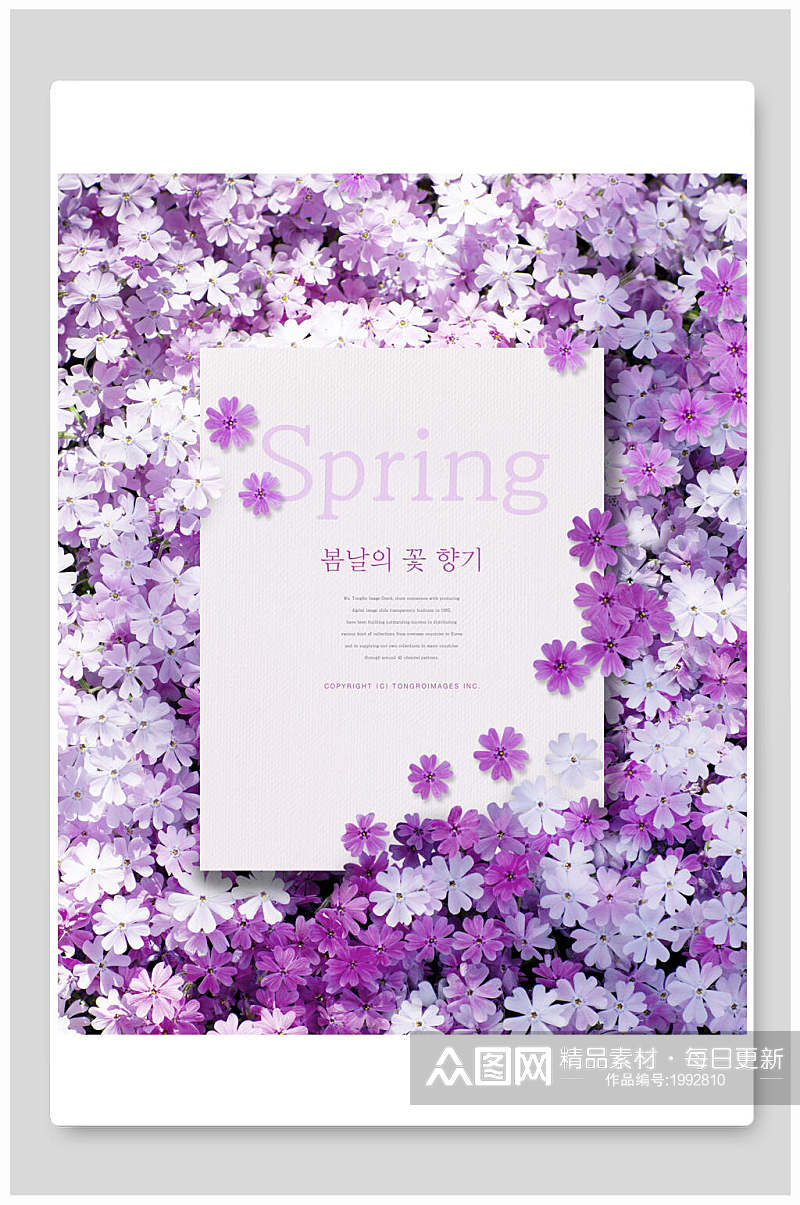 紫色韩式春季春天气息唯美海报素材