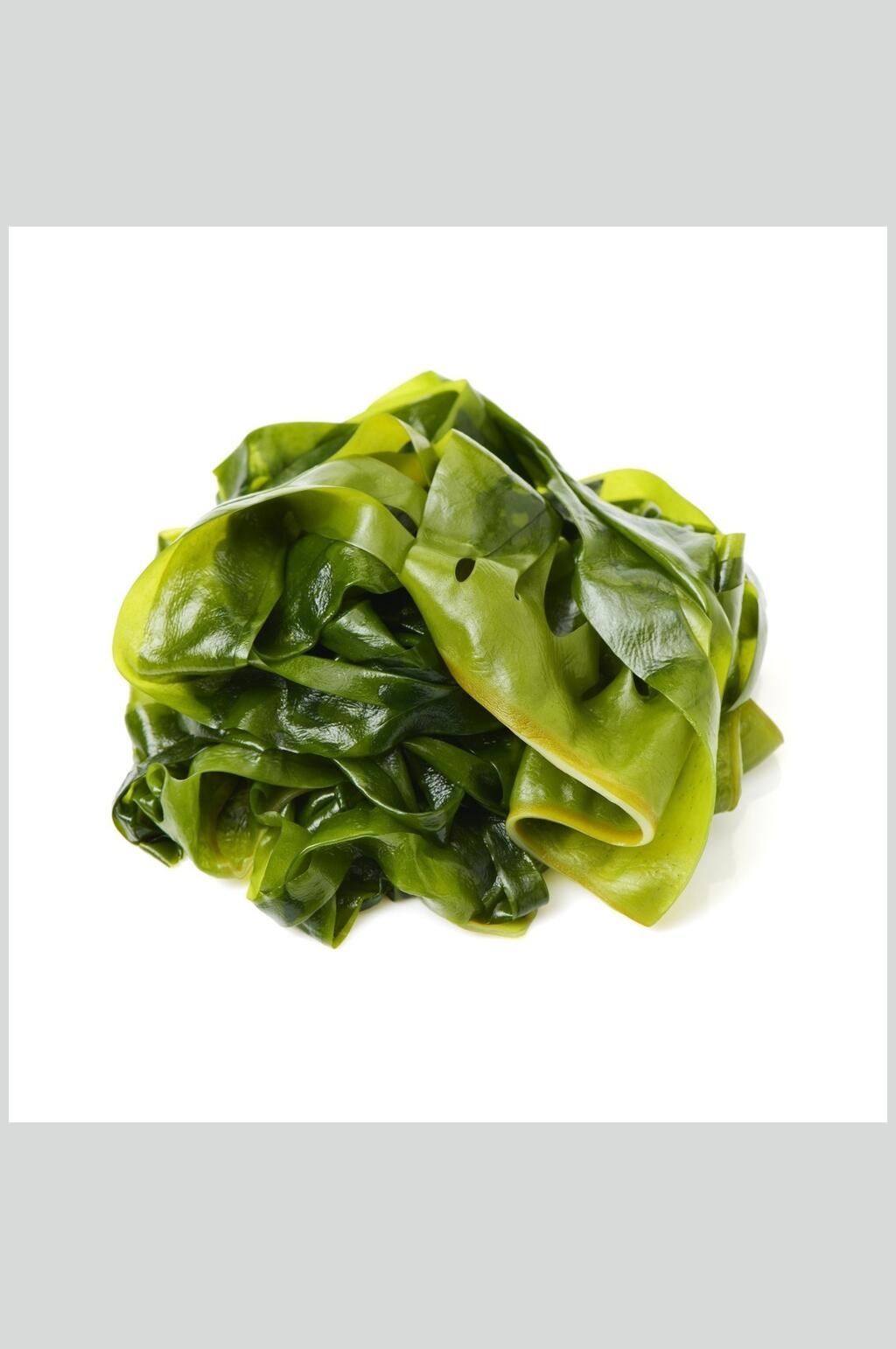 新鲜美味海带头足类水产白底图片素材