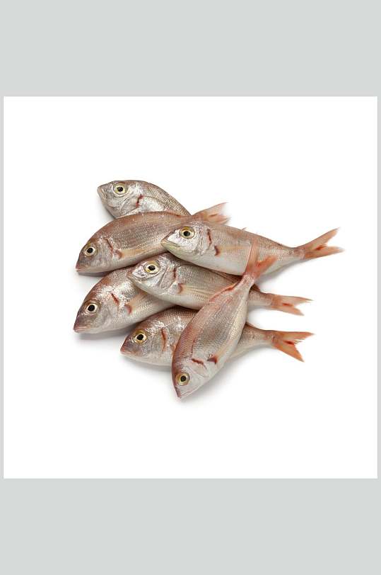 水产鱼类红鱼餐饮图片