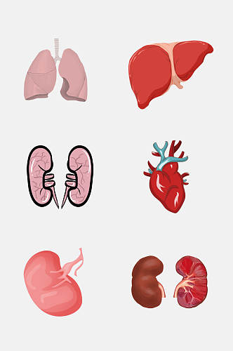 宣传人体器官肝脏心脏免抠元素素材