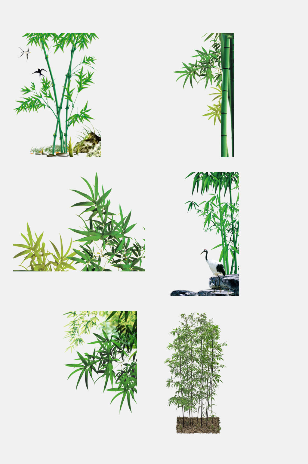 清新竹林竹子免抠元素素材
