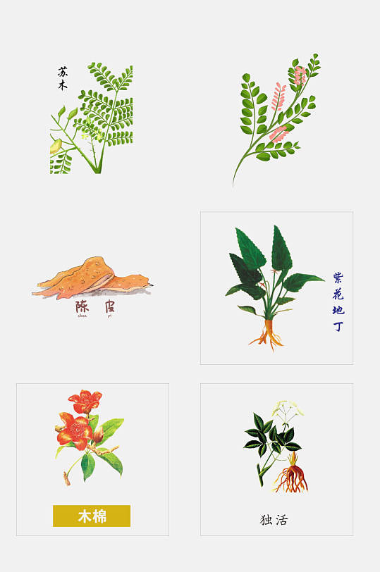 简洁手绘中医草本植物免抠设计元素