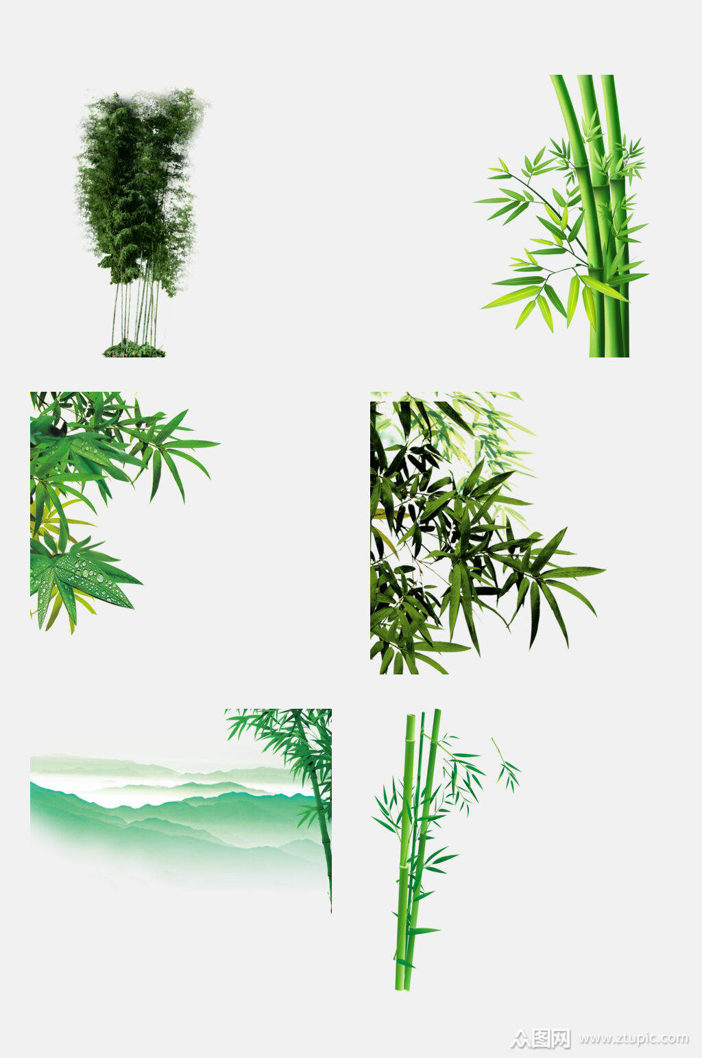 竹子竹林免抠元素素材