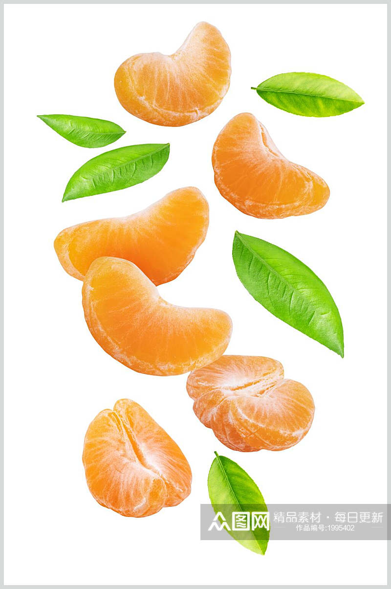 橘瓣橘子柑橘白底图片素材