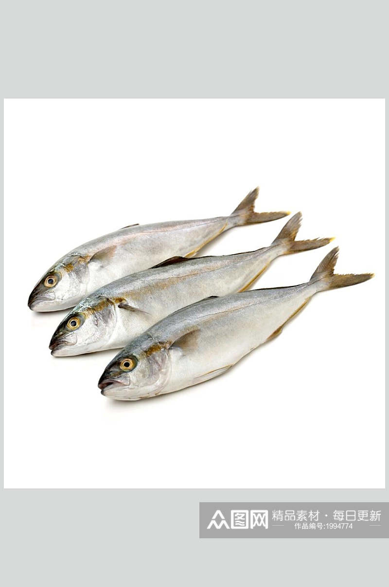 新鲜美味海鱼水产鱼类图片素材