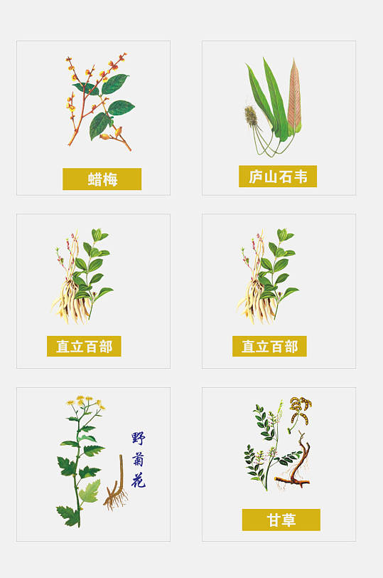 传统手绘中医草本植物免抠元素