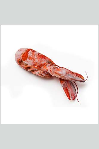 虾类龙虾美食食品高清图片