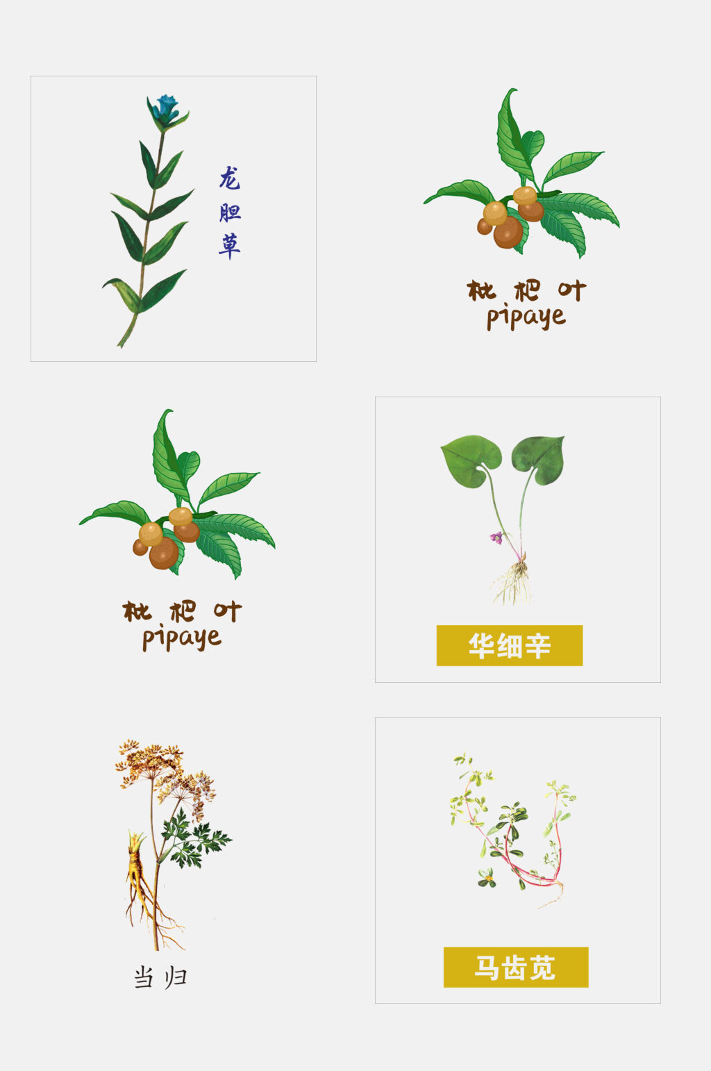 绿色清新手绘中医草本植物免抠元素素材
