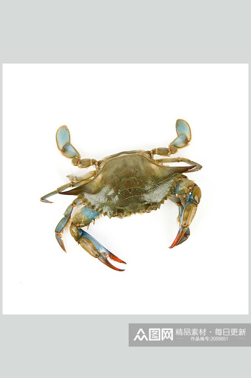 蟹类图片一只螃蟹海鲜类生鲜食材摄影图素材
