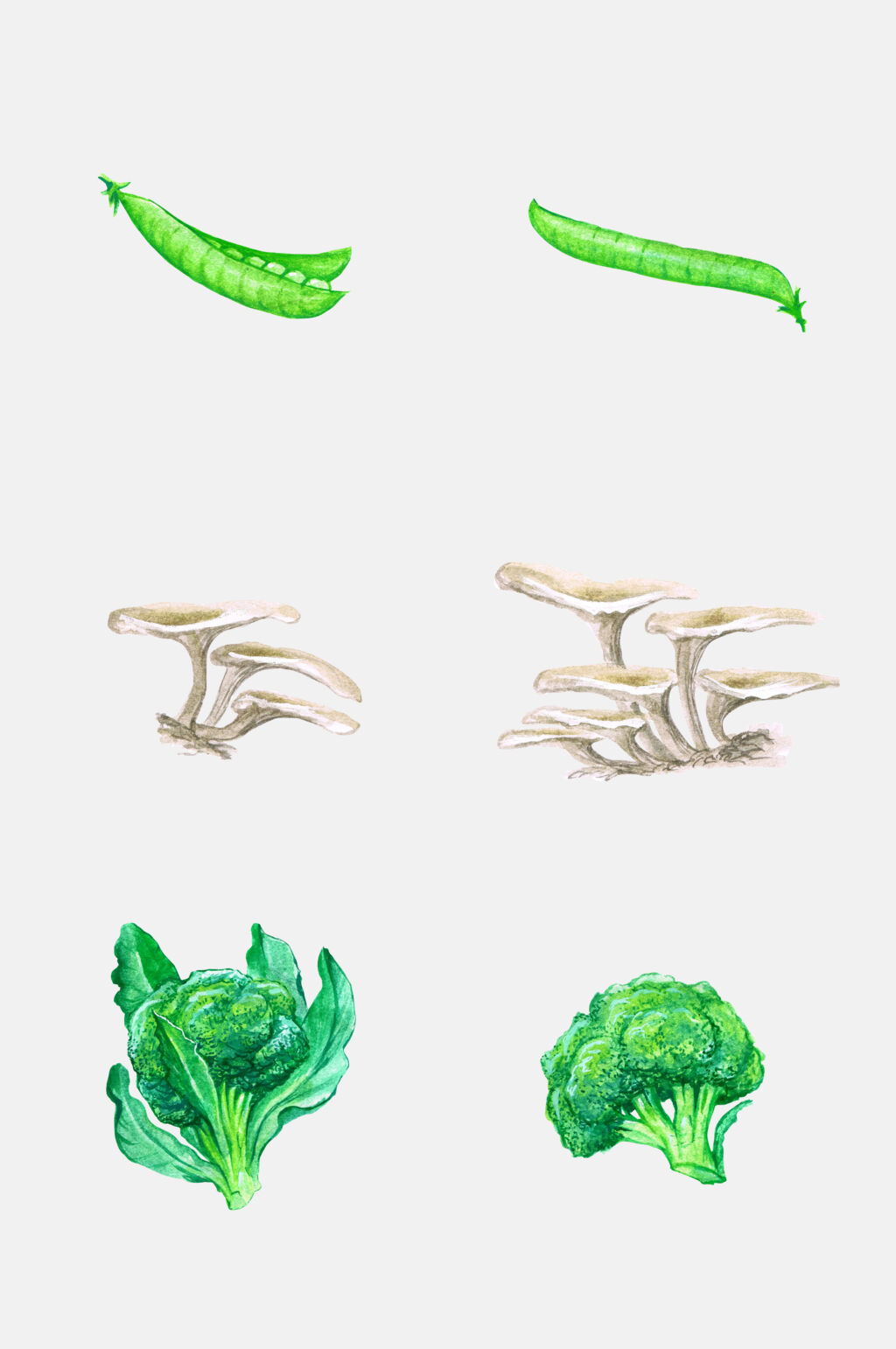 西蓝花海鲜菇蔬菜设计元素素材