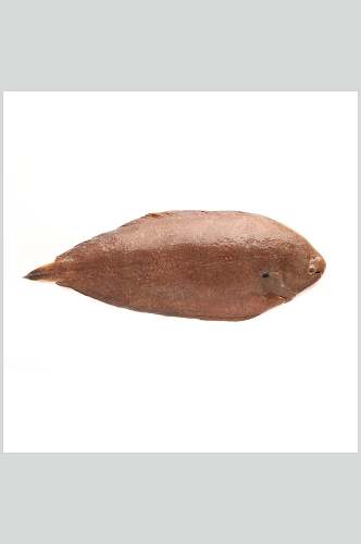 红薯水产鱼类图片