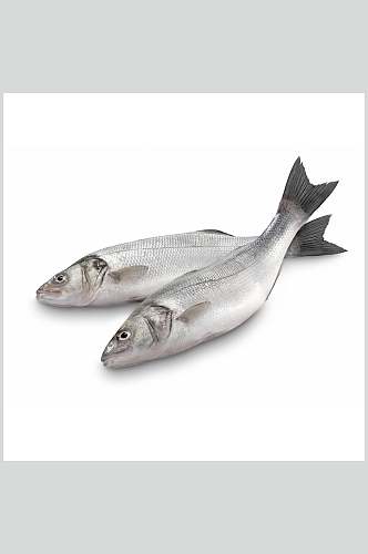 健康美味水产鱼类高清图片