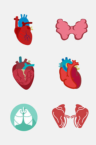 宣传人体器官肝脏心脏免抠元素素材