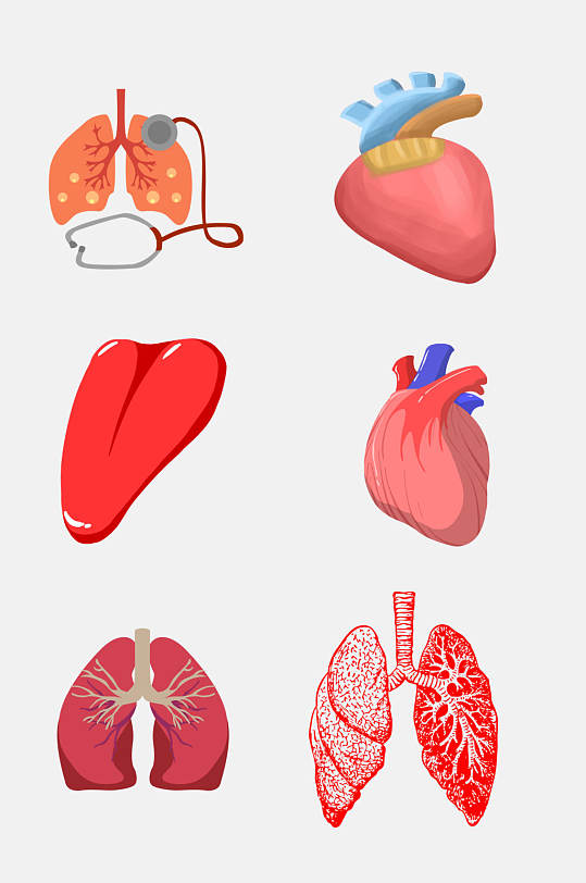医学人体器官肝脏心脏免抠元素