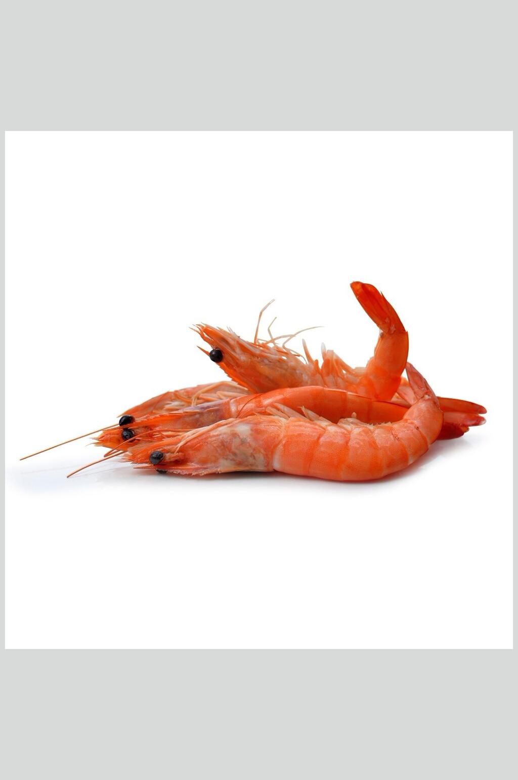 虾类海鲜食品图片素材