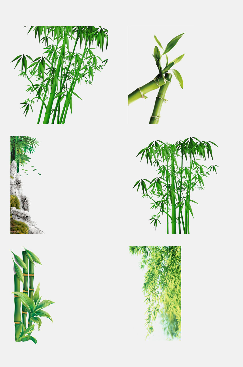 竹杆竹子免抠元素素材