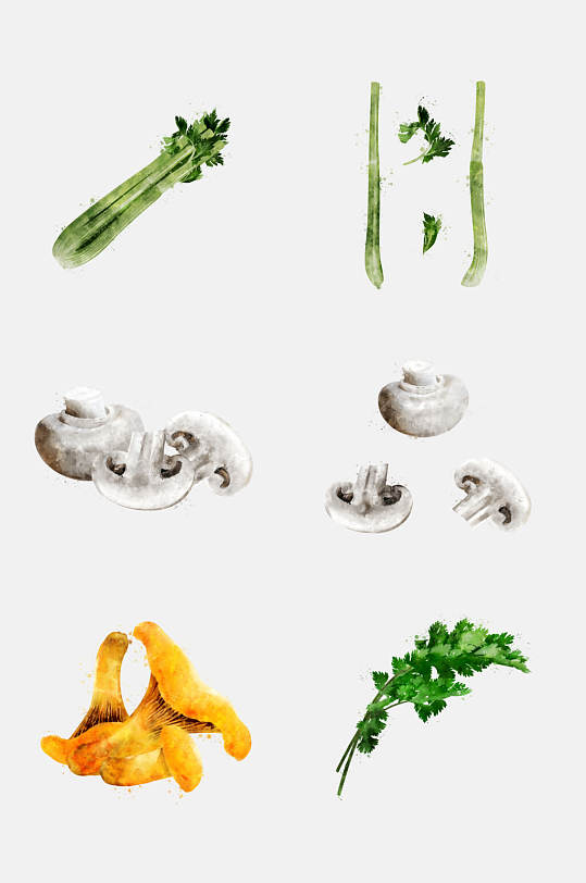 胡荽叶菌子芦笋食材设计元素