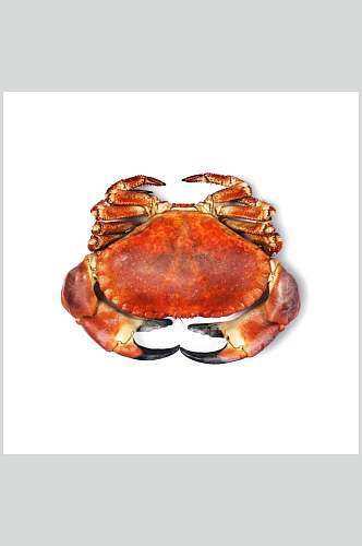 新鲜美味螃蟹蟹类高清图片