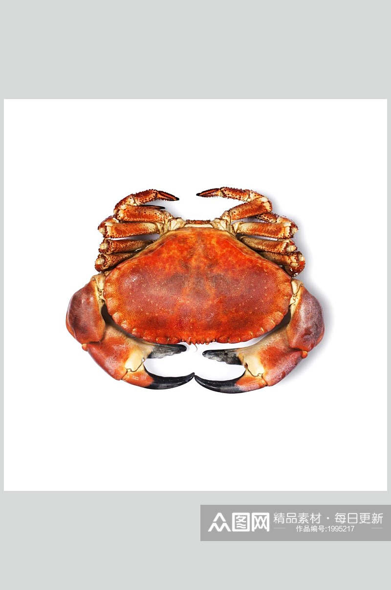 新鲜美味螃蟹蟹类高清图片素材