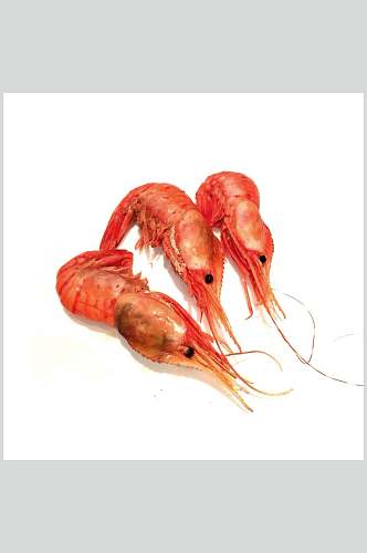 海鲜小龙虾虾类图片
