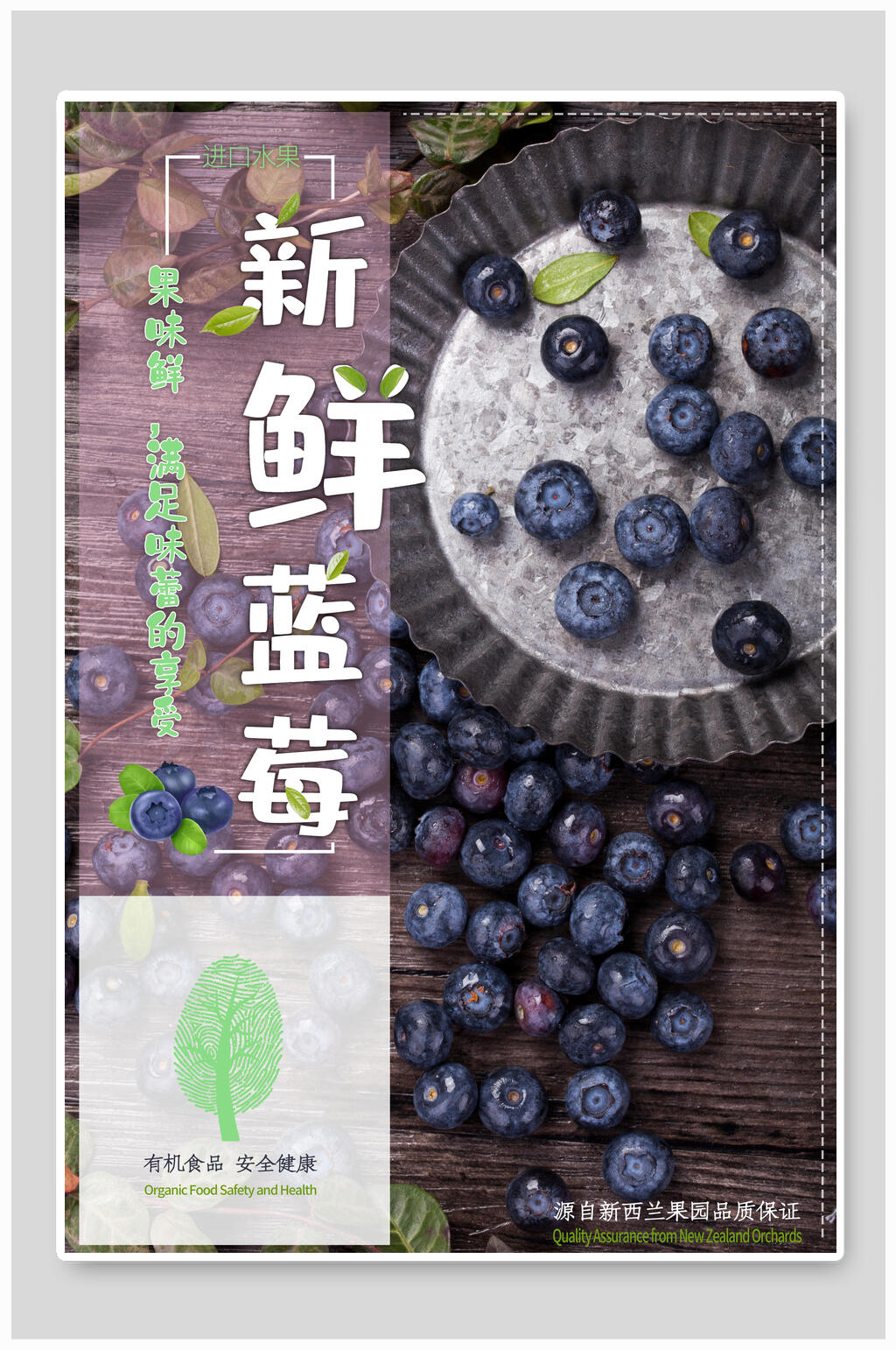品质美味新鲜蓝莓水果海报素材