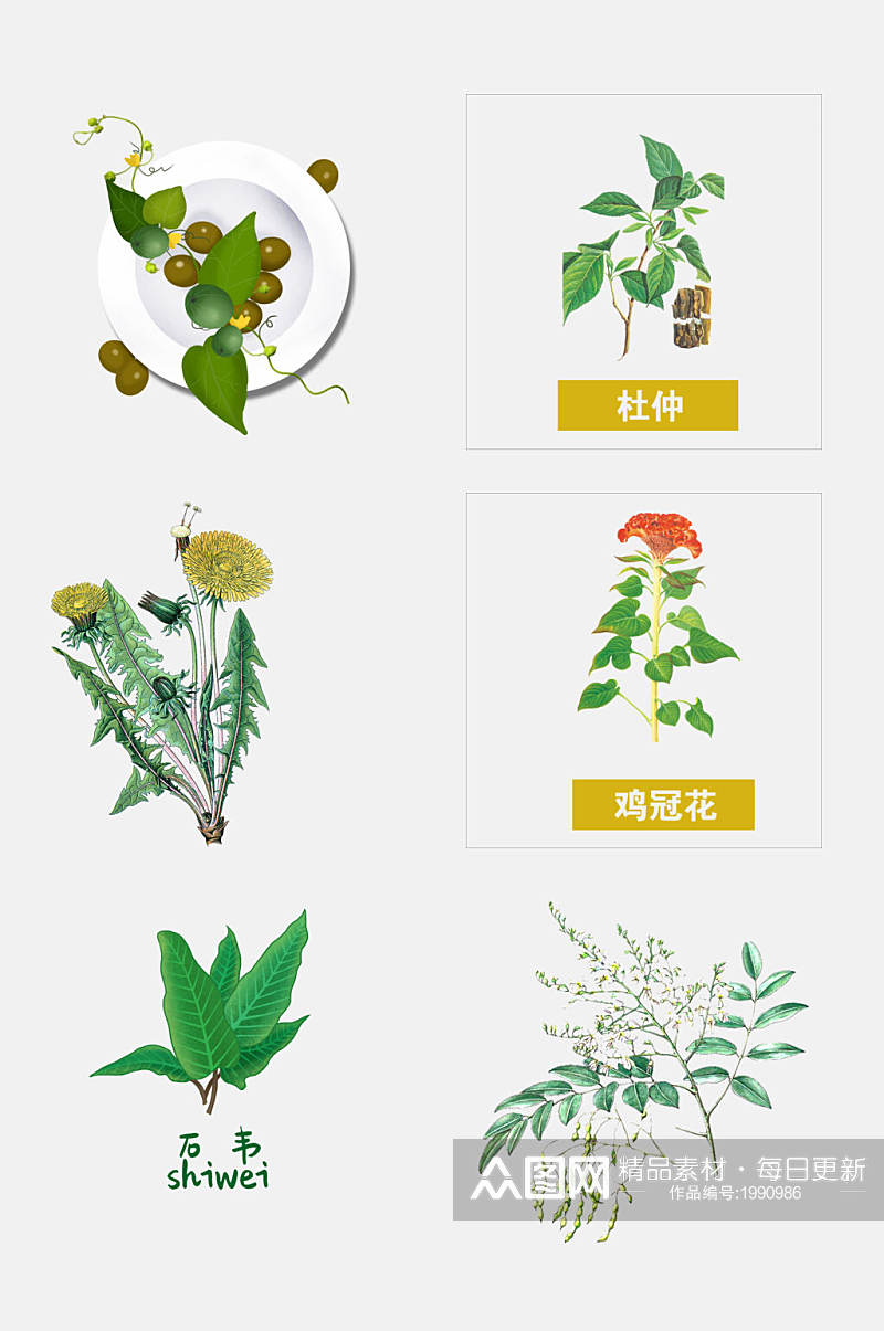 清新手绘传统中医草本植物免抠元素素材
