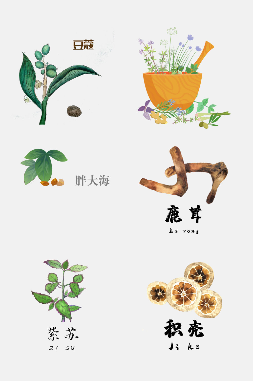 名贵手绘中医草本植物免抠元素素材