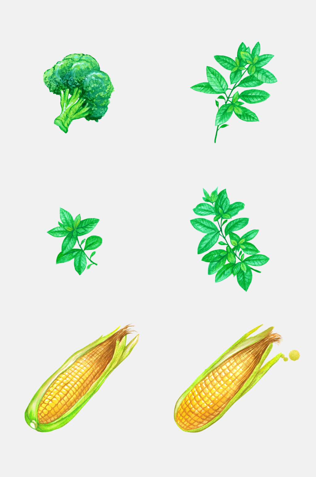 玉米西蓝花蔬菜设计元素素材