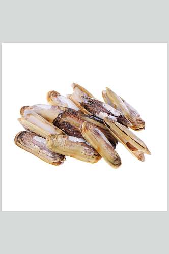 螺贝类白底图片螺肉生鲜食材摄影图