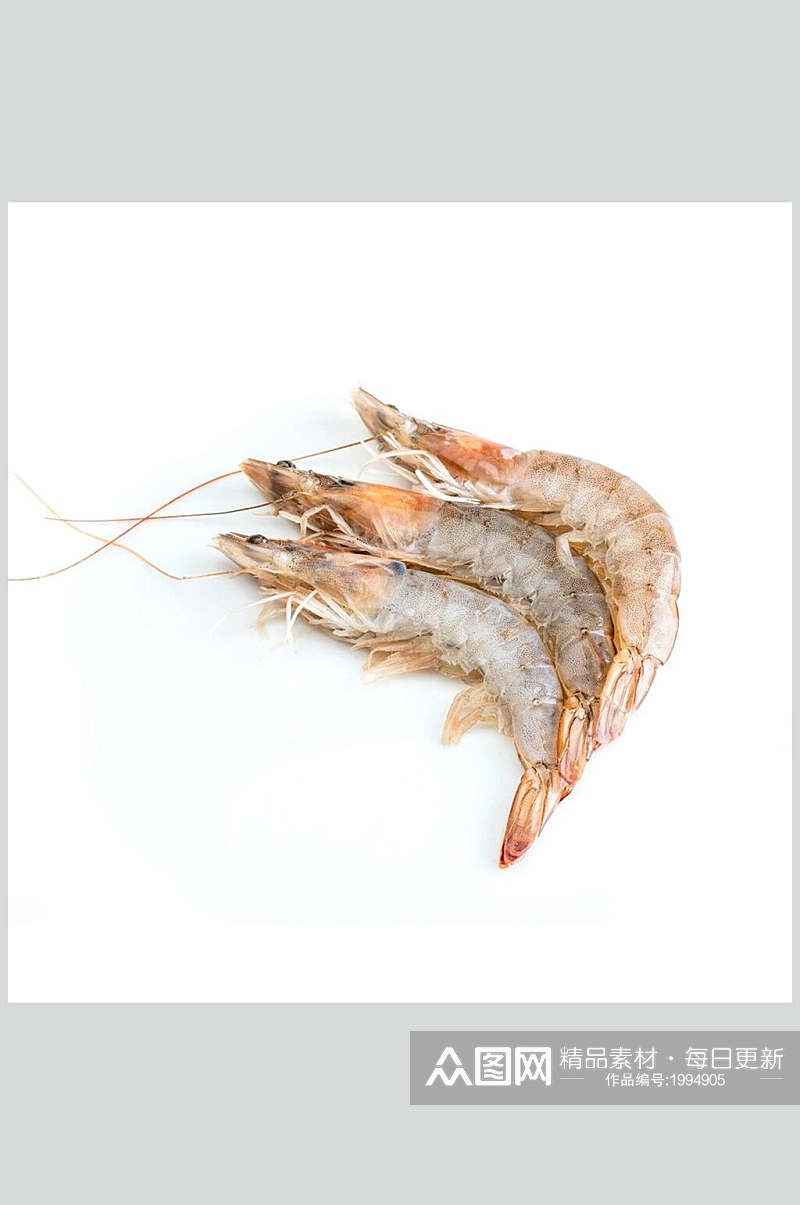 虾类海鲜高清图片素材