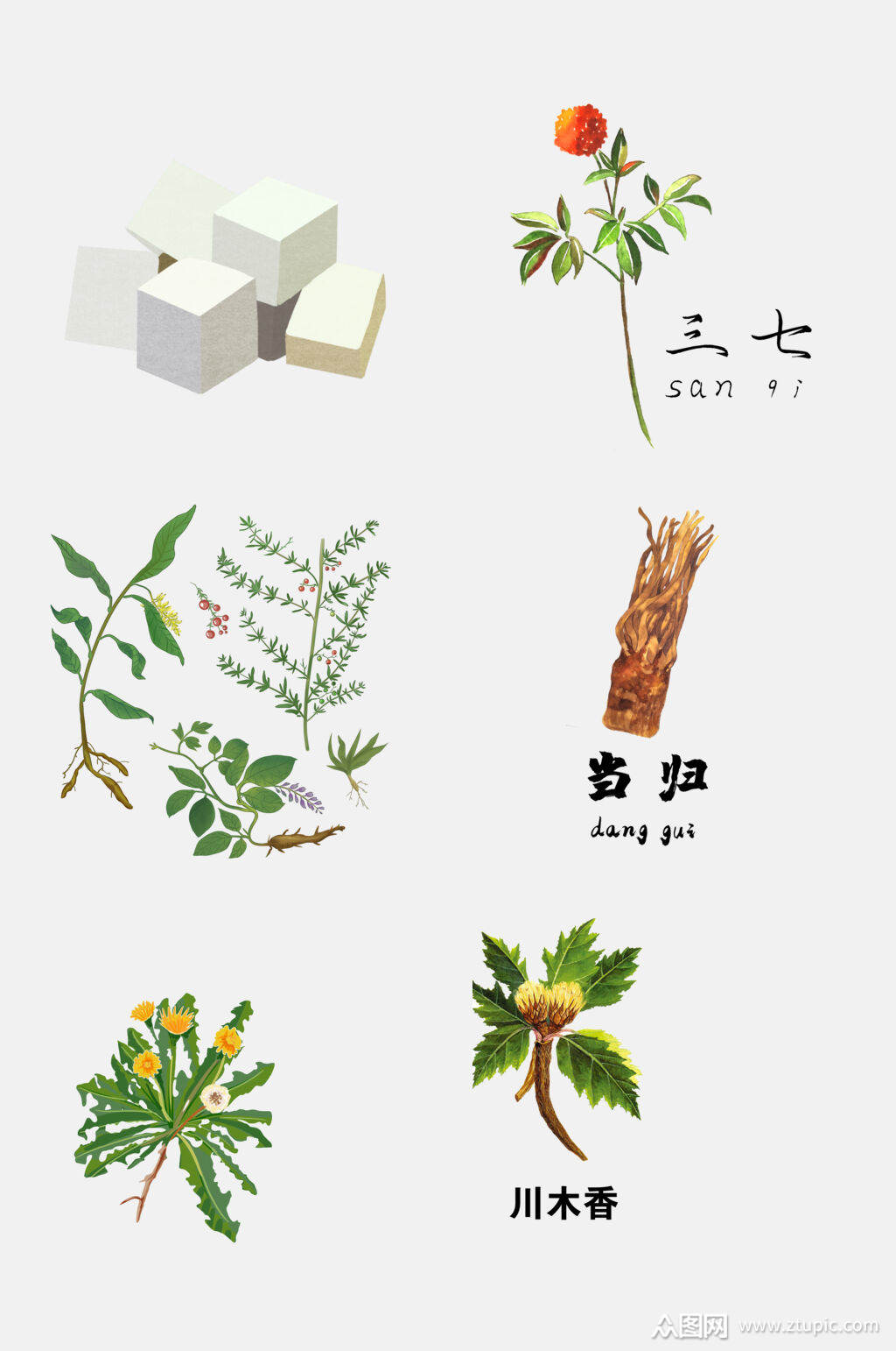 手绘中医草本植物免抠元素