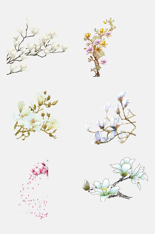 玉兰花免抠图片-玉兰花免抠素材下载-众图网