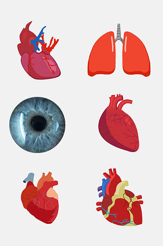 宣传人体器官肝脏心脏免抠元素素材