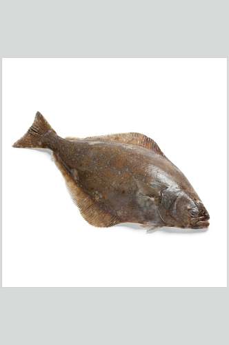 水产鱼类斑鱼美食图片