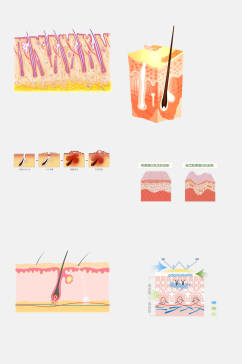 时尚粉色皮肤毛囊组织设计元素