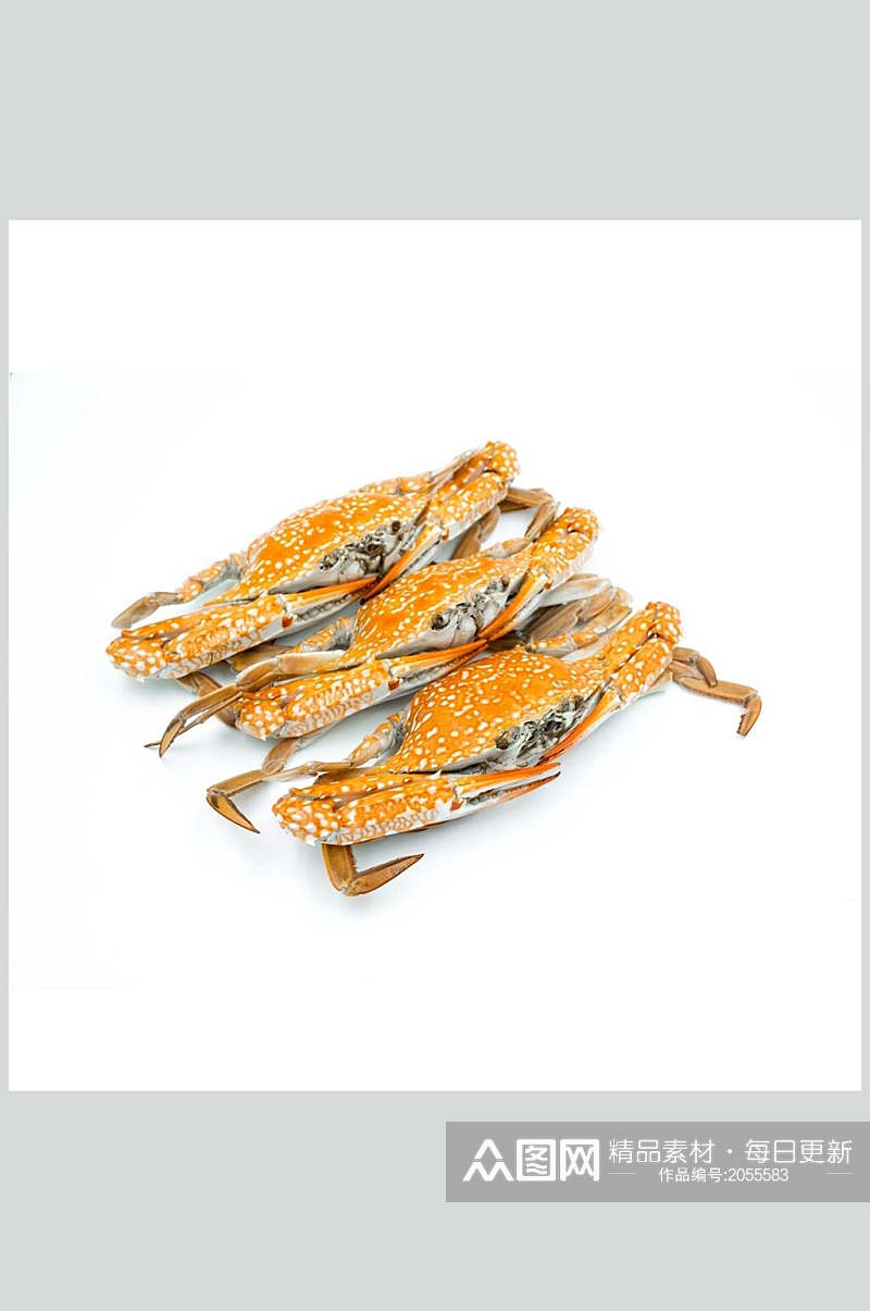 蟹类图片三只螃蟹海鲜类生鲜食材素材