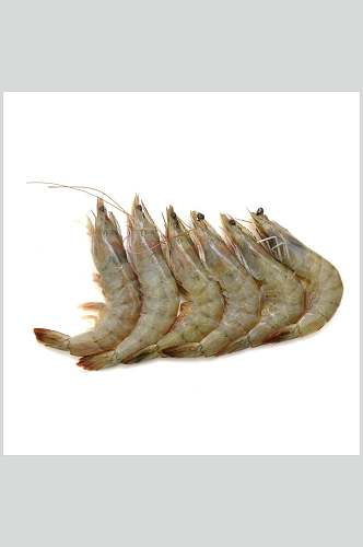 虾类海鲜盛宴图片