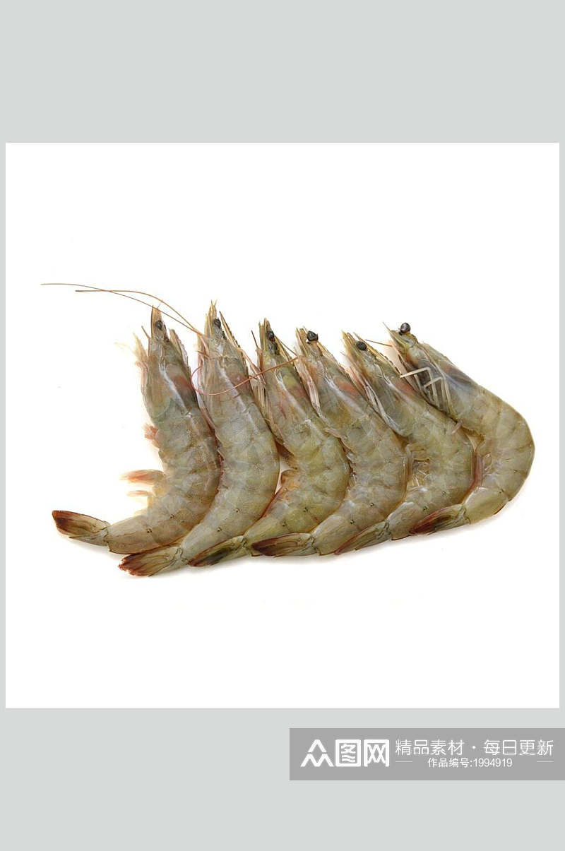 虾类海鲜盛宴图片素材
