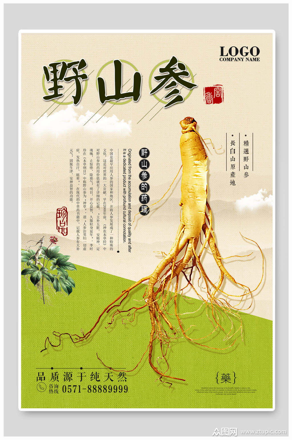 清新野山参保健养生海报