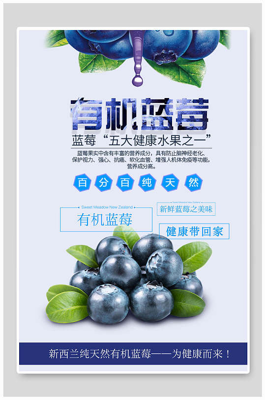 纯天然有机蓝莓水果海报