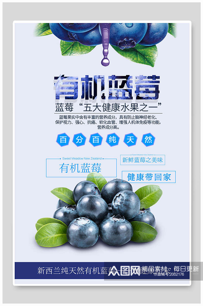 纯天然有机蓝莓水果海报素材