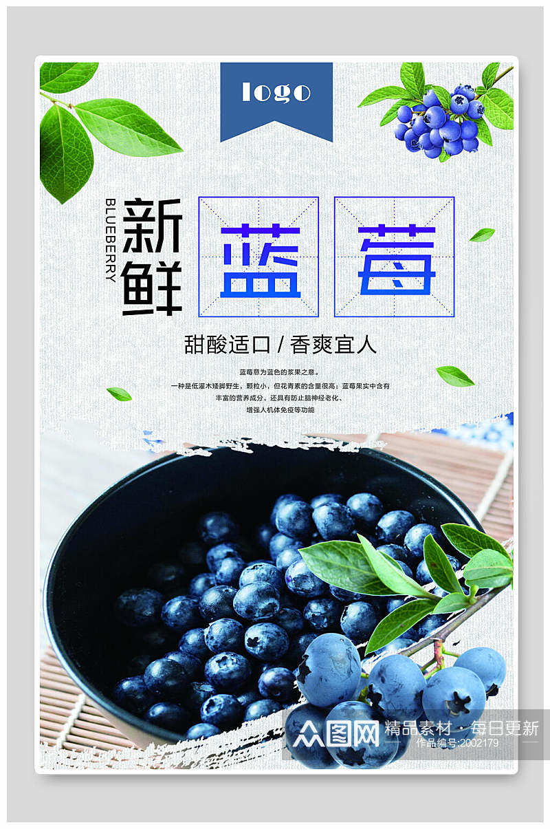 甜酸适口新鲜蓝莓水果海报素材