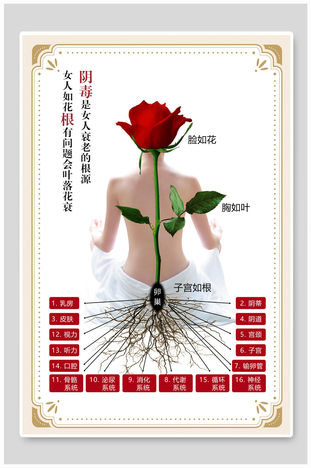 女人如花中医养生海报素材