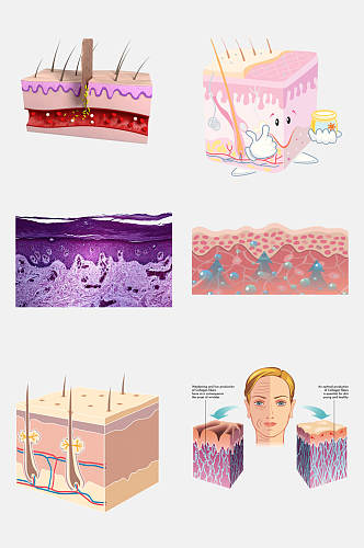 皮肤护理管理生物皮层免抠元素素材